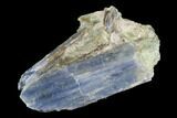 Vibrant Blue Kyanite Crystal Cluster - Brazil #97952-2